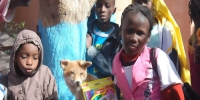 Le périple en Mauritanie de Christine Bergougnous 