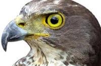 Adhésion d'un groupe de cadres et de jeunes du parti Hatem au parti UPR 