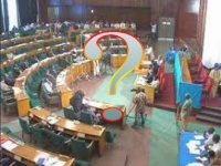 A quoi sert le sénat en Afrique ? 
